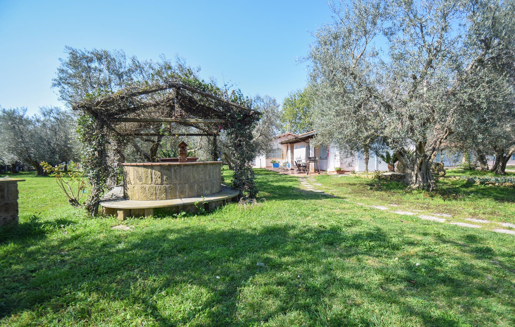 A stone fountain in a garden with olive trees and a house in the background.