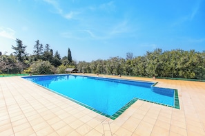 Ein rechteckiger Pool mit Fliesen umgeben von Bäumen und blauem Himmel.