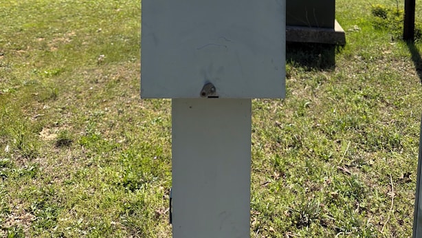 A utility meter box with the number 5, surrounded by grass and trees.