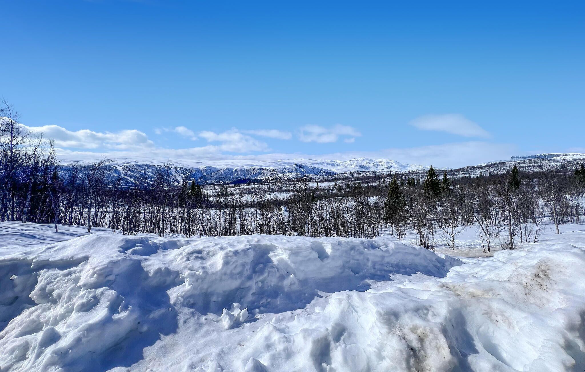 A snowy landscape with mountains in the background and a clear sky.