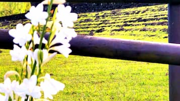 Economy-Ferienhütte, Blick auf den Innenhof | Außendetails