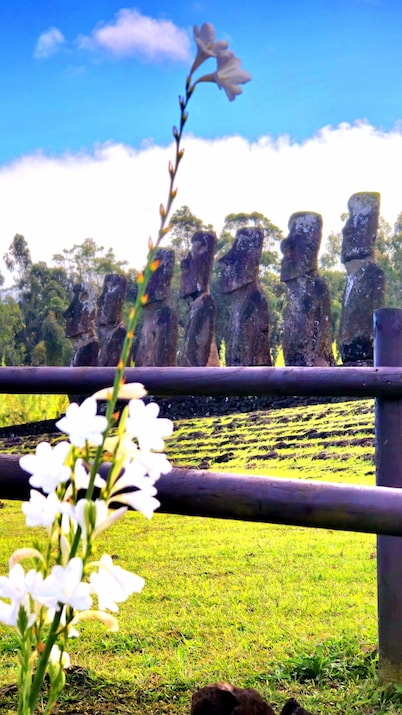 Cabañas Henua Roa