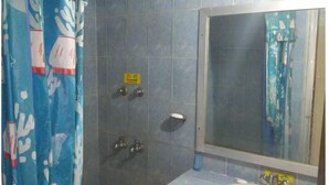 Un baño con ducha, lavabo y espejo.
