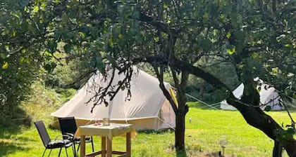 Secluded Meadow Stay ~ BBQ ~ Stream ~ Nature