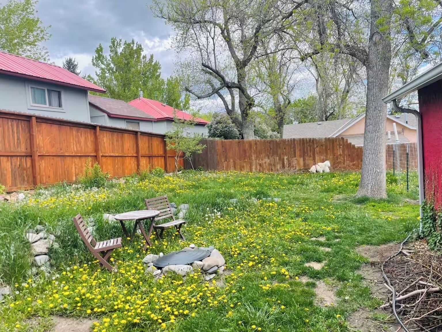 A backyard with a wooden fence, a tree, a dog, and a garden with yellow flowers.