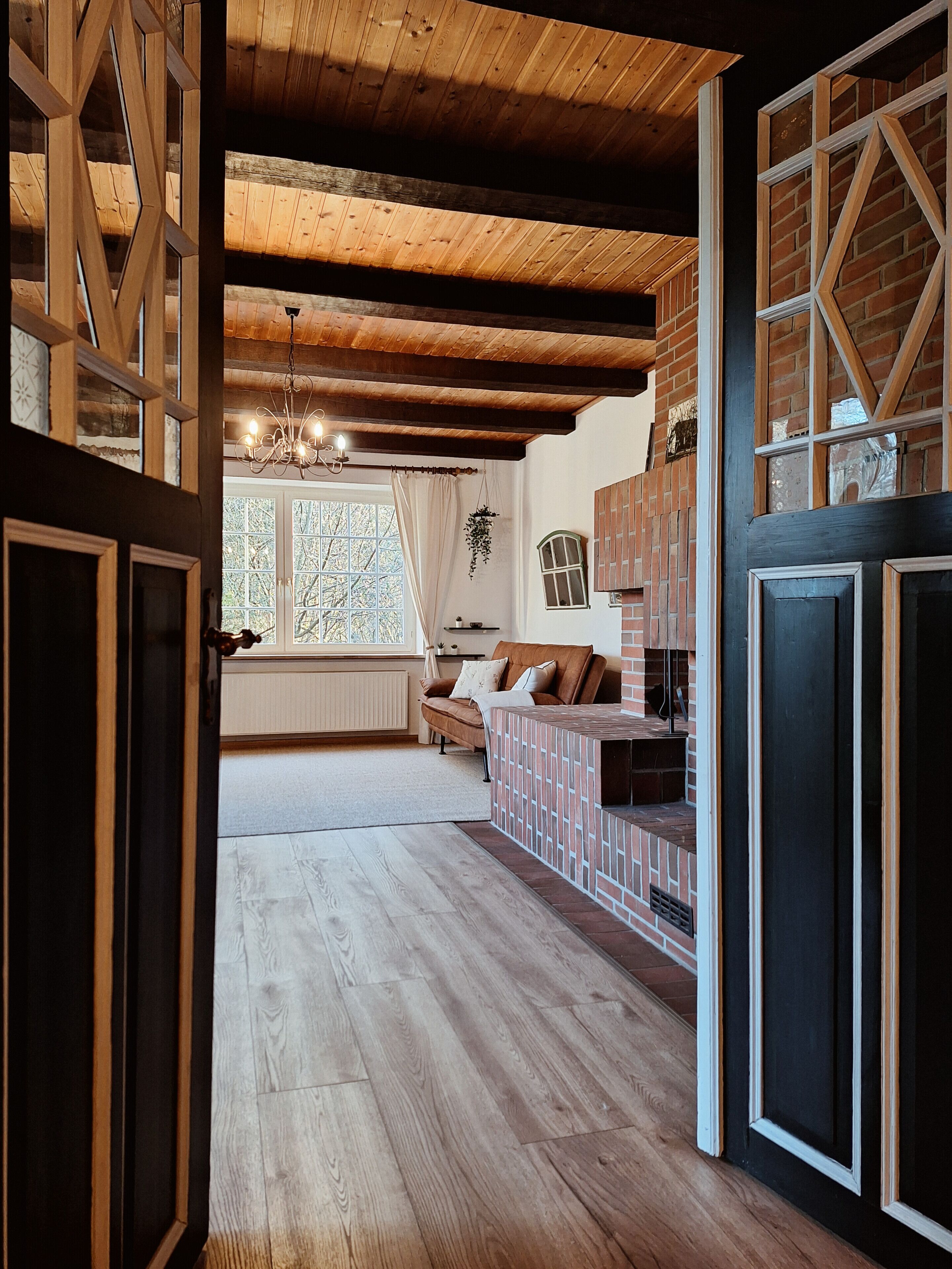 TV, fireplace, books