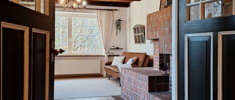 TV, fireplace, books