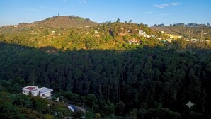 A hilly landscape with dense forest and scattered buildings. - Malabar Cottage - Panoramic Mountain View (Kodaikanal)
