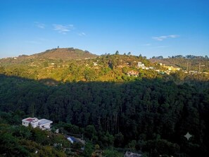 A hilly landscape with dense forest and scattered buildings. - Malabar Cottage - Panoramic Mountain View (Kodaikanal)