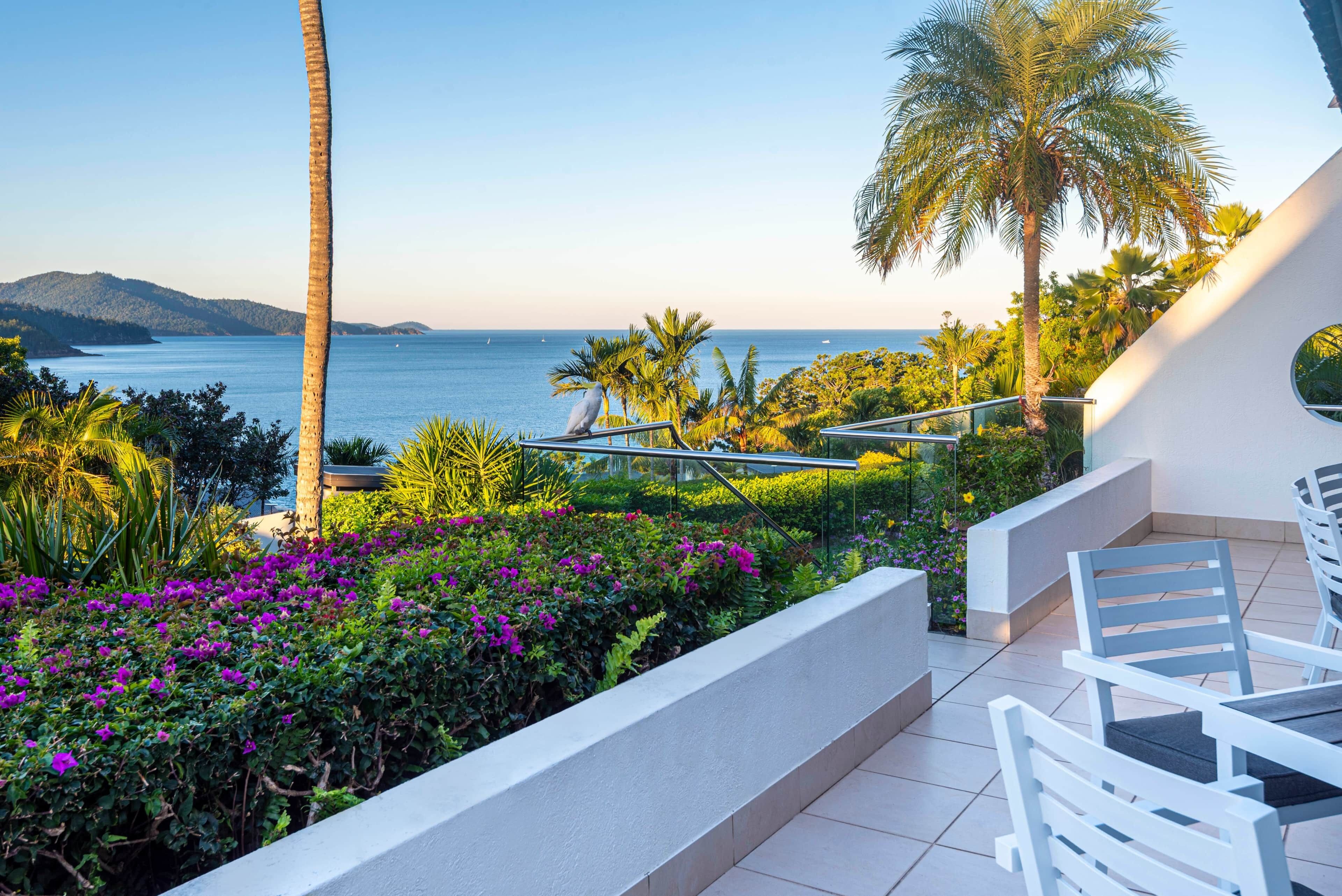 Eine Terrasse mit weißen Stühlen, Blick auf das Meer und ein Garten mit violetten Blumen.