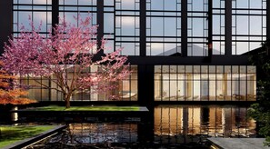 A modern building with large windows, a koi pond, and a cherry blossom tree. - leshanchanyiyilejiudian (Leshan)
