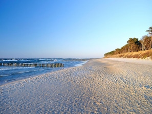 Comfort House, 3 Bedrooms | View from property - Cottage in Pobierowo Near Baltic Beach (Rewal)