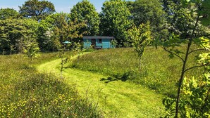 Un paysage rural avec une petite maison bleue, entourée d’arbres et d’un champ d’herbe.