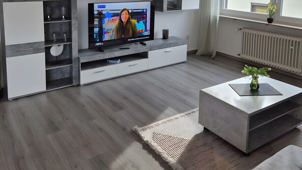 A modern living room with a flat-screen TV, grey sofa, and a coffee table with a plant.