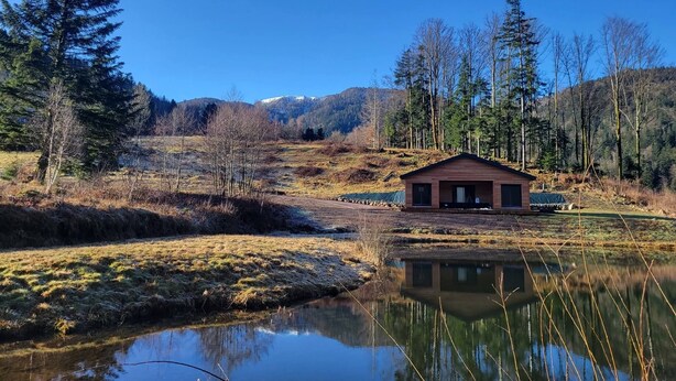 A cabin with a pond in front, surrounded by trees and hills. - Chalet des Briseux (Saint-Maurice-sur-Moselle)