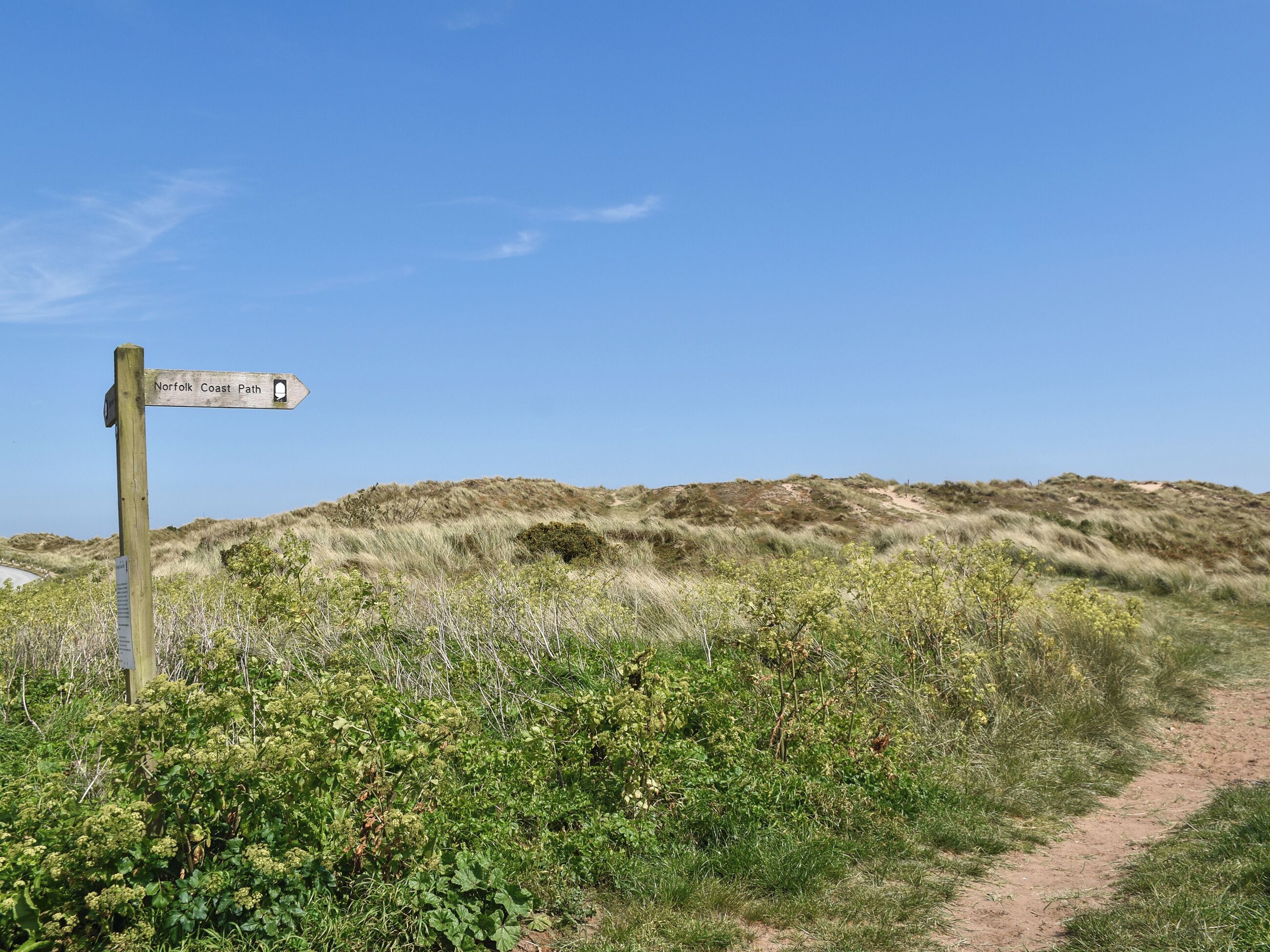 A wooden signpost with a directional arrow and text indicating the Norfolk Coast Path.