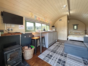 A compact cabin-style room with a kitchenette, a bed, and a large window. - Chesnut Pod - UK51519 (Newton Stewart)