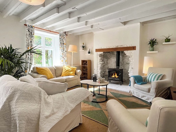 Fireplace - 3 bedroom accommodation in Kingsbrisge (Kingsbrisge)