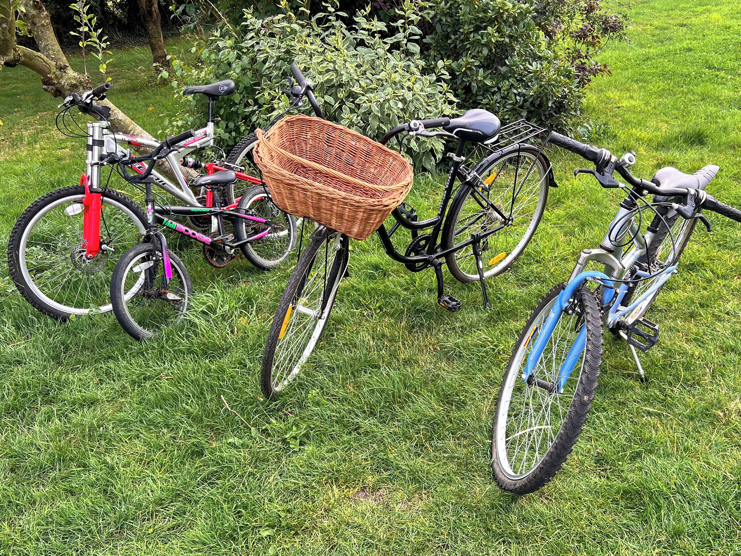 A bicycle with a basket and a blue frame parked on grass.