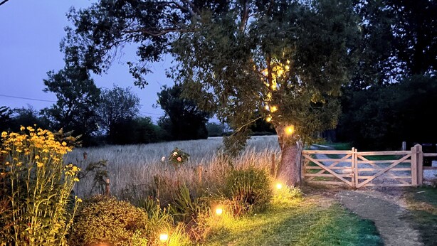 Un sentier rural menant à une porte en bois, entourée de verdure et illuminée par des guirlandes lumineuses.