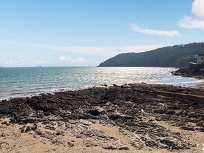 Fishing - 2 bedroom accommodation in Kingsand (Kingsand)
