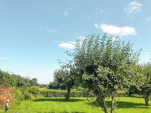 Un paisatge verd i frondós amb un arbre gran al primer pla i un cel blau clar.