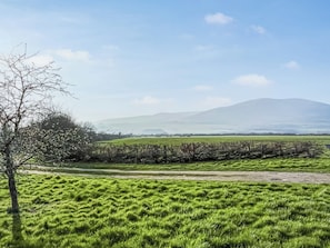 Paisaje rural con cielo despejado, un árbol y una montaña distante.