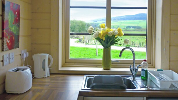 Una cocina con ventana, un lavamanos, un tostador y un florero con flores.
