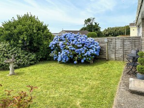 A well-maintained backyard with a lawn, a wooden fence, and a flowering bush. - 2 bedroom accommodation in Woolacombe (Woolacombe)