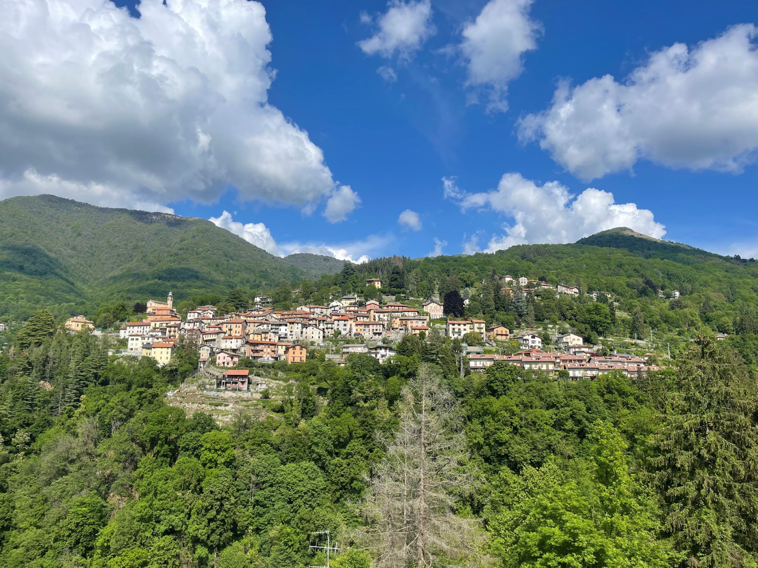 Un pueblo en una ladera, con edificios, árboles y montañas.
