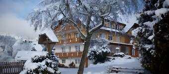 Bühlhof Waldau – Apt. Dorfblick, Black Forest Card, Terrace, Accessible, Dog on Request
