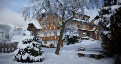 BĂŒhlhof Waldau-Apt. Schwalbennest, Hochschwarzwald-Card, balcon, grange de jeux, chien sur demande