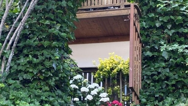 Una escalera de madera que conduce a una terraza de madera con barandilla blanca, rodeada de abundante vegetación.