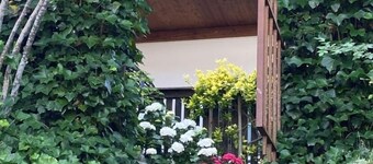 Vacation apartment at Höllenbach