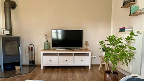Una sala de estar con televisor, mueble blanco, chimenea, planta en maceta y alfombra estampada.