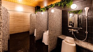 Ein modernes Badezimmer mit Holzboden, Marmorarbeitsplatten und einem Spiegel mit Pflanzendekoration.