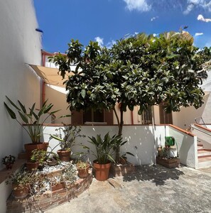 Property grounds - Casa Vacanze Janas: a privileged location for your vacation in Sardinia (Assemini)