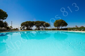 Ein klares, blaues Schwimmbecken, umgeben von Bäumen und einem wolkenlosen Himmel.