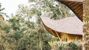 A covered structure with a curved roof, surrounded by dense tropical vegetation.