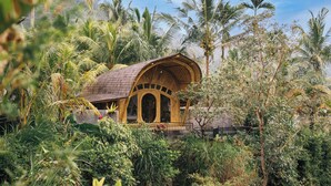 A wooden structure with arched windows surrounded by lush greenery and palm trees.