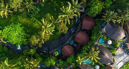 Aura Cendana Hill Sidemen by AGATA