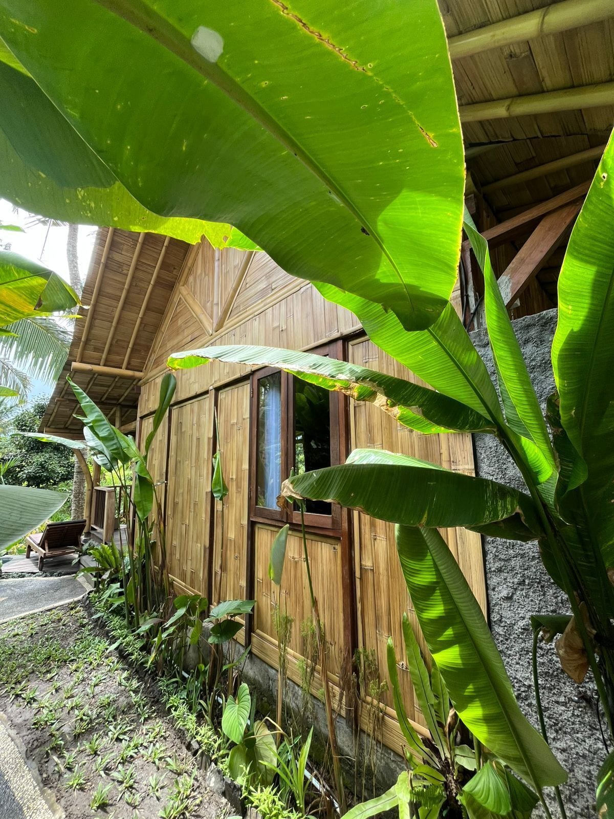 Garden view