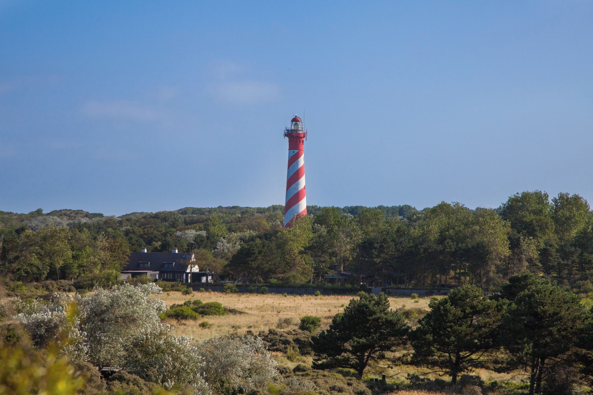 A lighthouse with a red and white striped tower, surrounded by trees and a house in the foreground.