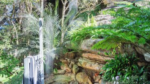 Un jardín con valla de madera, rocas y diversas plantas, incluyendo helechos y flores.