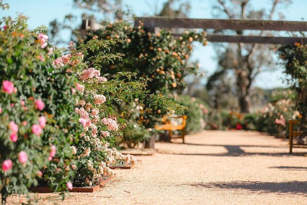 Property grounds - Elsie Cabin | Saumarez Homestead (Armidale Regional Council)