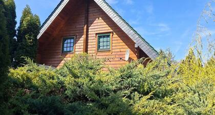 Wohnung in Staßfurt