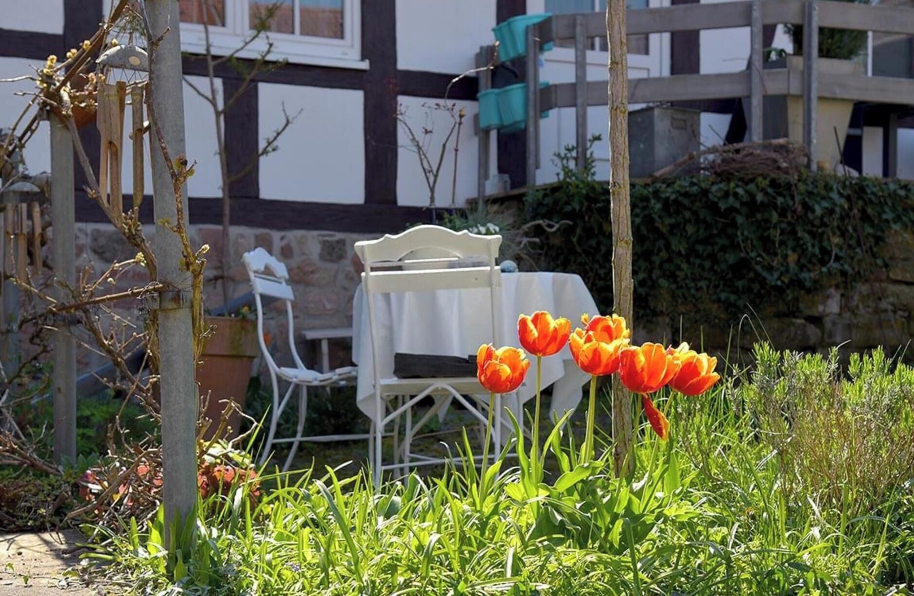 Speisen im Freien