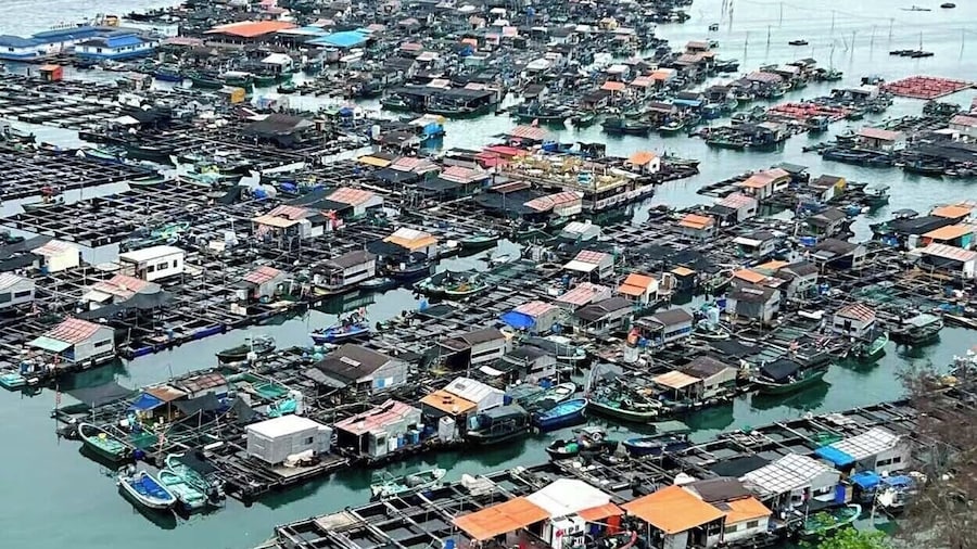 Jinye Sea View Apartment