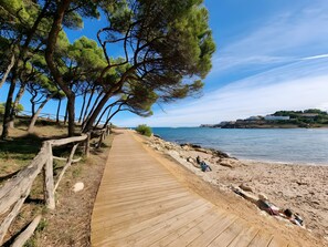 Un paseo marítimo de madera que lleva a una playa con pinos y una vista despejada del mar.
