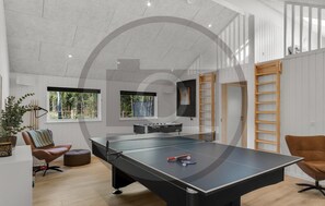 Games room - Pet friendly home in Faaborg with sauna (Faaborg)